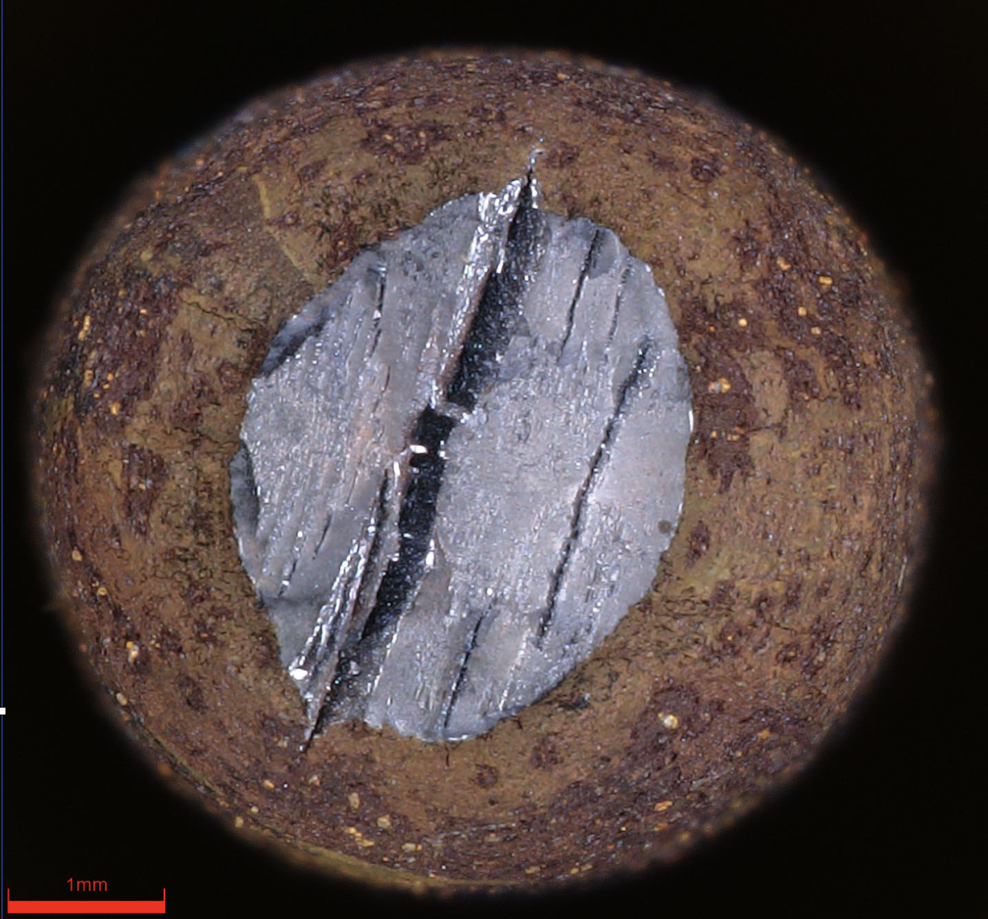 Mikroskopický snímek příčného řezu zkušebního vzorku.