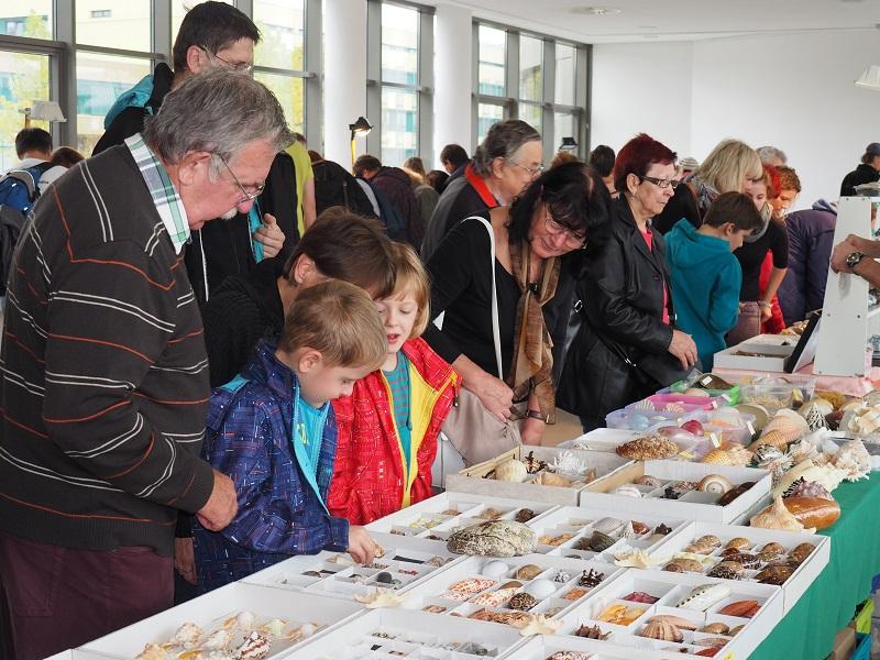 Říjnové Mineralogické setkání na VŠB-TUO