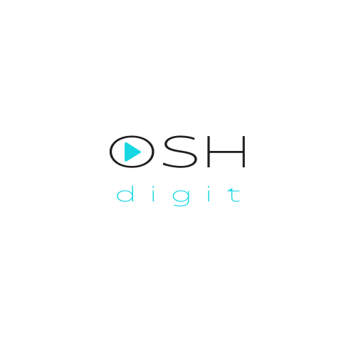 The FSE has become the leader of the international project OSHDIGIT