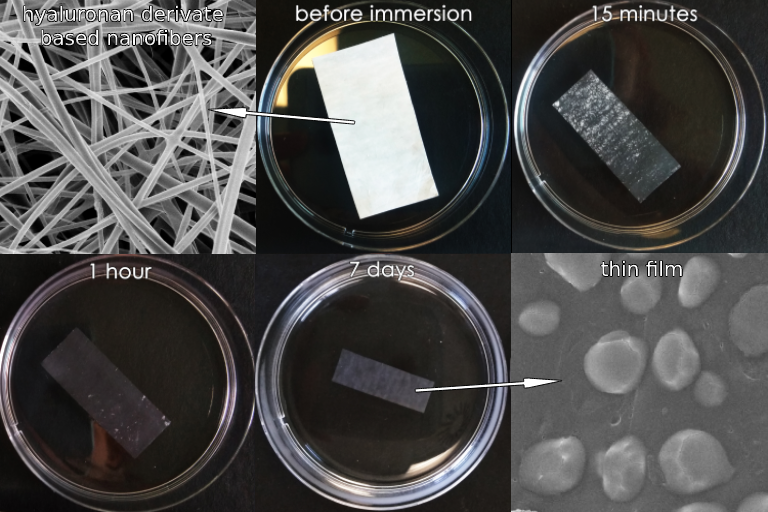 Nanovlákna na bázi kyseliny hyaluronové by se mohla uplatnit v biomedicíně