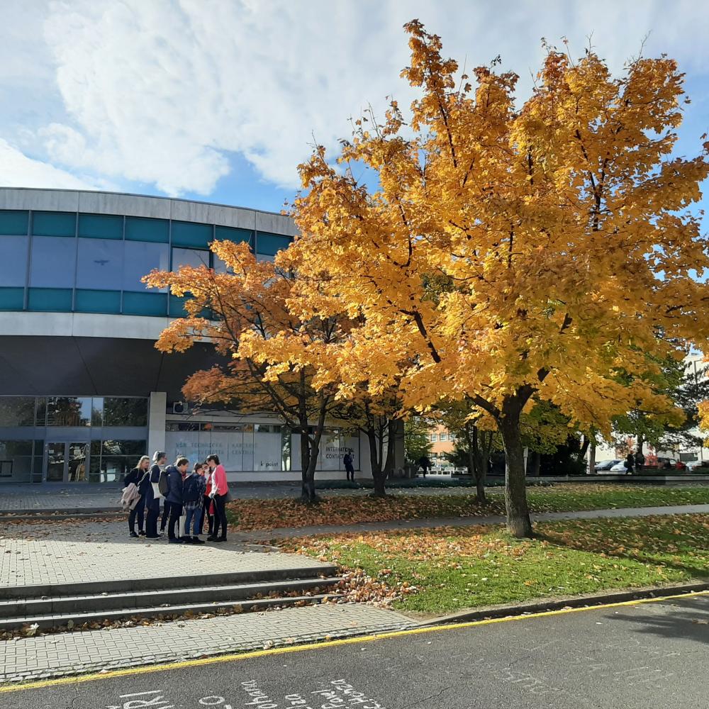 VŠB-TUO vysadí v kampusu univerzity nové stromy