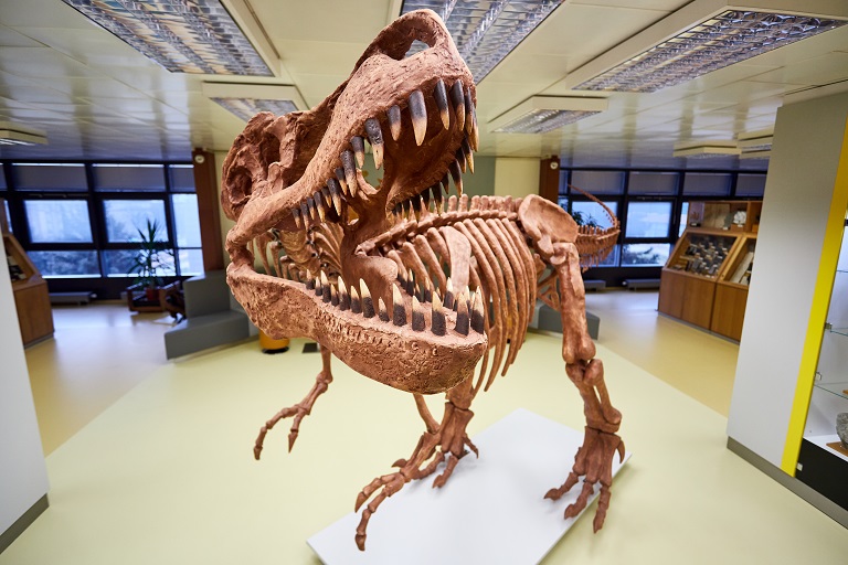 Geologický pavilon VŠB-TUO nově hlídá tyranosaurus