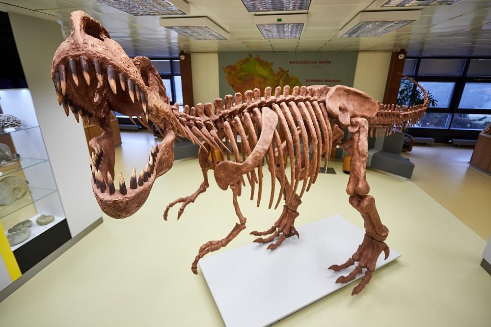 Geologický pavilon VŠB-TUO nově hlídá tyranosaurus