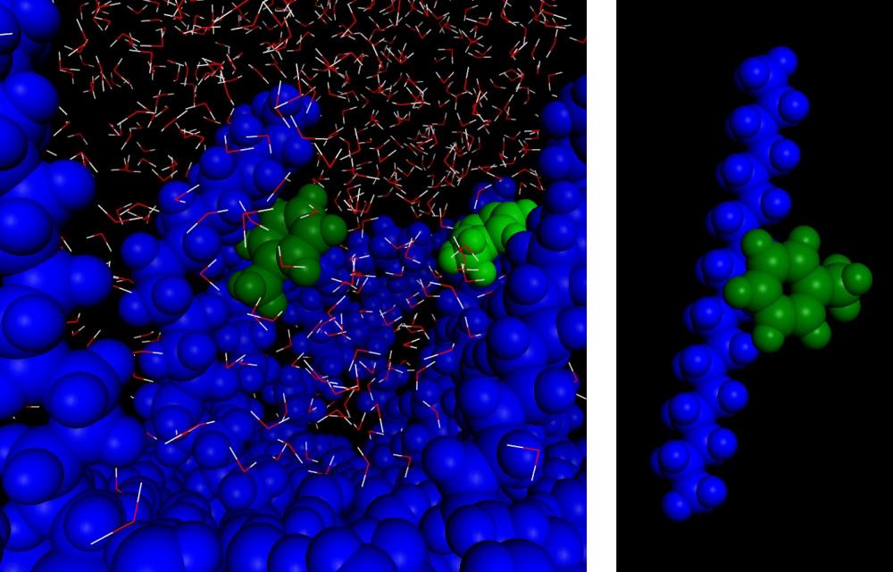 Solubility as a model of sorption