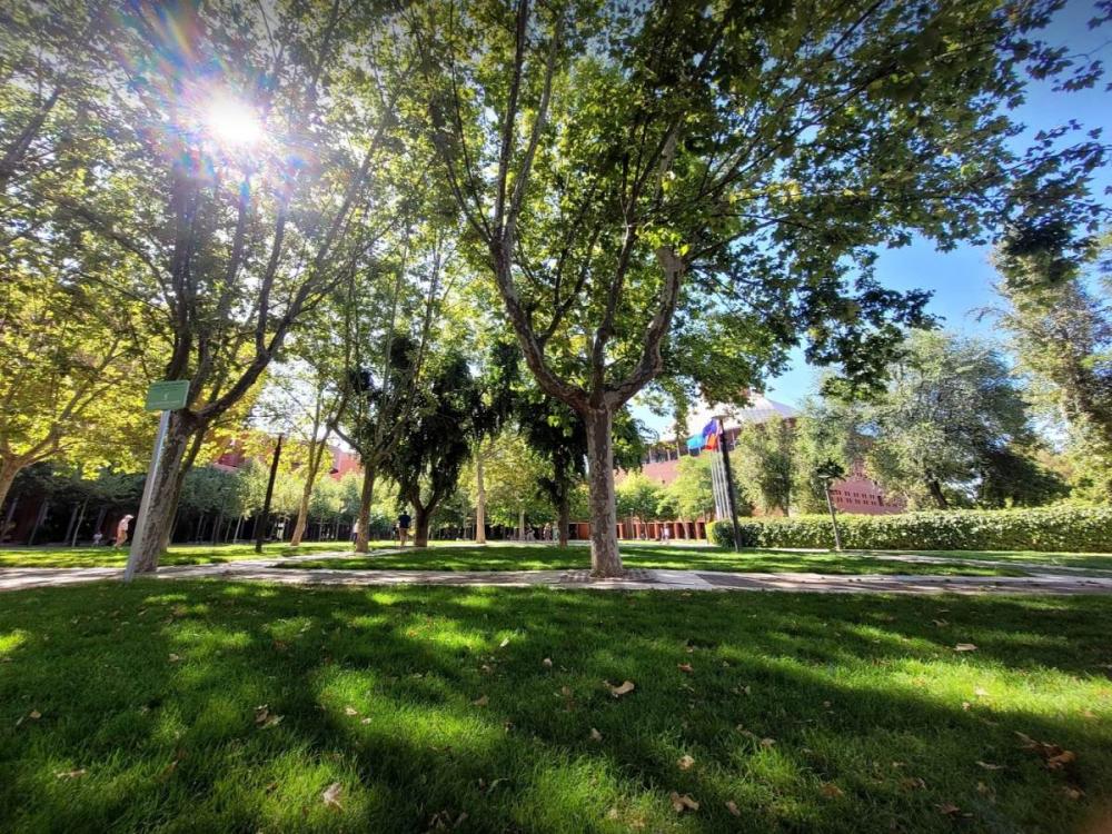 Visit to a university in Madrid could contribute to the development of cooperation