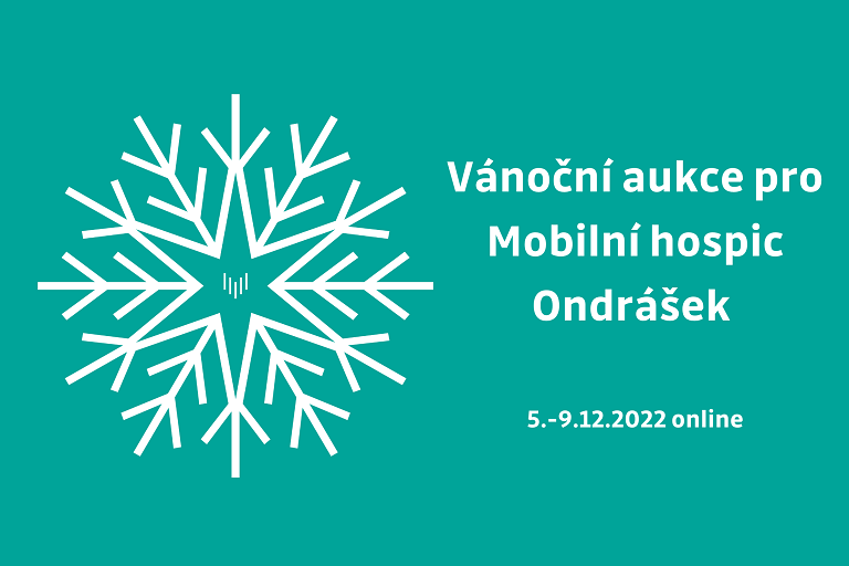 Vánoční aukce VŠB-TUO pro Mobilní hospic Ondrášek