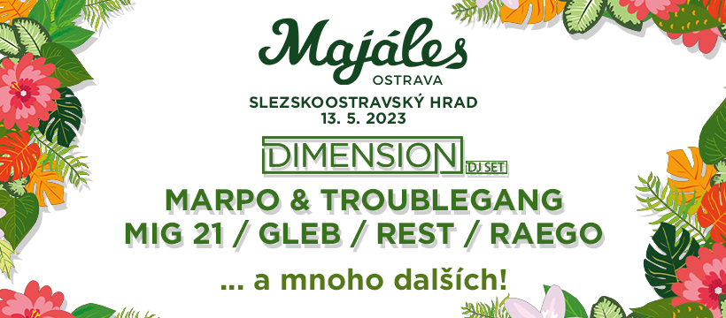 Bohatý doprovodný program, Mig 21 nebo světový DJ Dimension