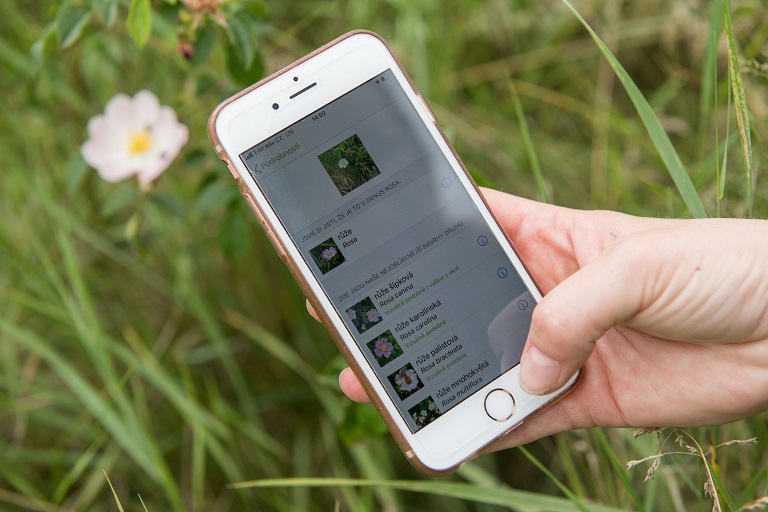 Zjistěte, jak bohatá je ostravská příroda. Začíná celosvětová výzva City Nature Challenge!