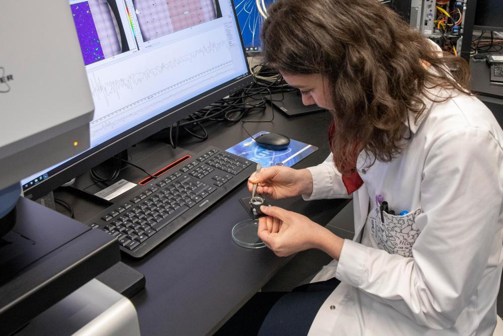 Identifikace mikroplastů ve vodách a čistírenských kalech je nyní snazší díky novému FTIR mikroskopu