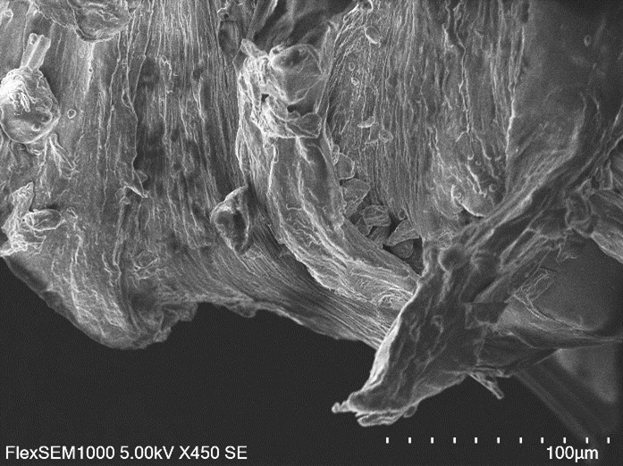 The existing equipment of CNT laboratories was supplemented by a new machine FlexSEM 1000II from Hitachi