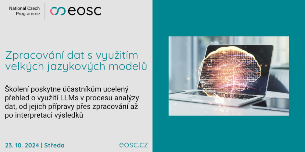 Zpracování dat s využitím velkých jazykových modelů
