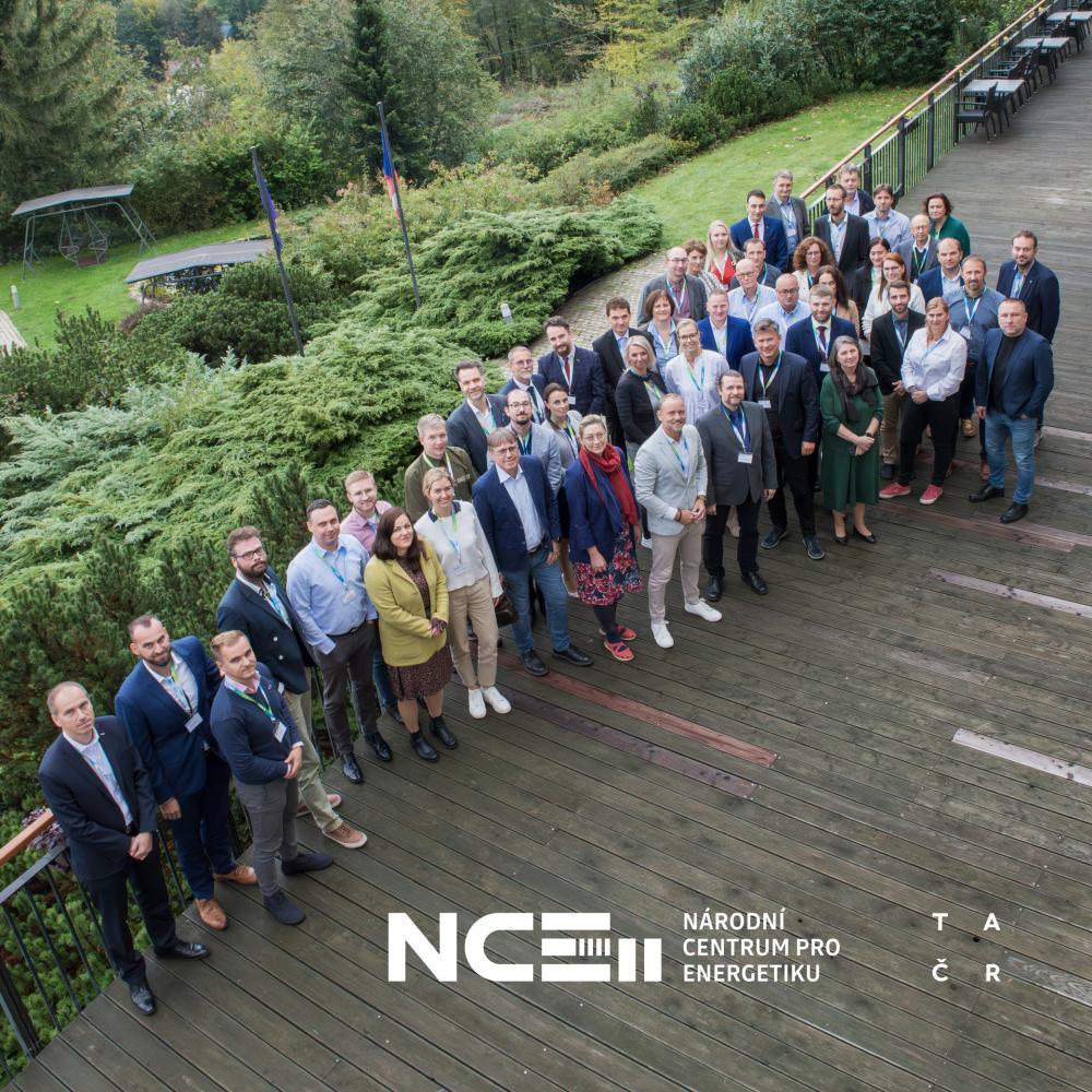 Cooperation, Innovation and Sustainability: Key Challenges for the Czech Energy Sector