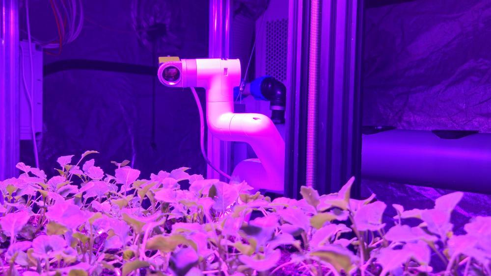 Artificial intelligence can help reveal the causes of stress in plants