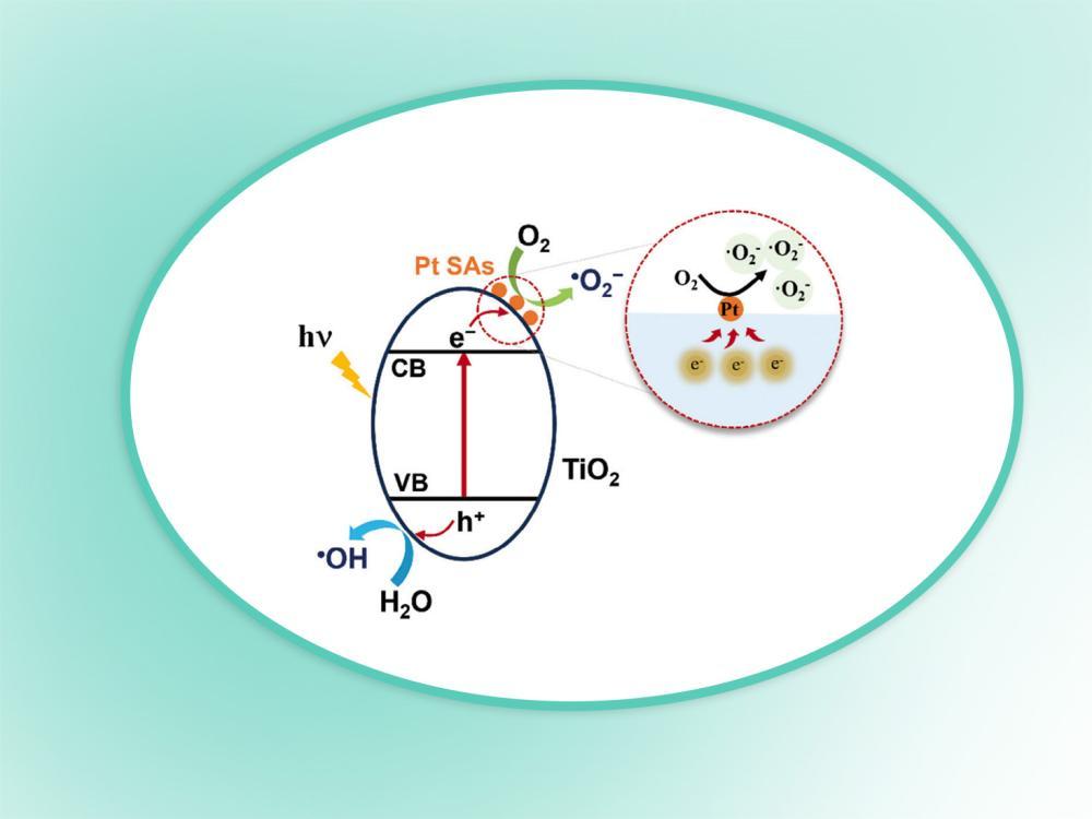 Platinum single atoms greatly enhance superoxide formation in photocatalysis