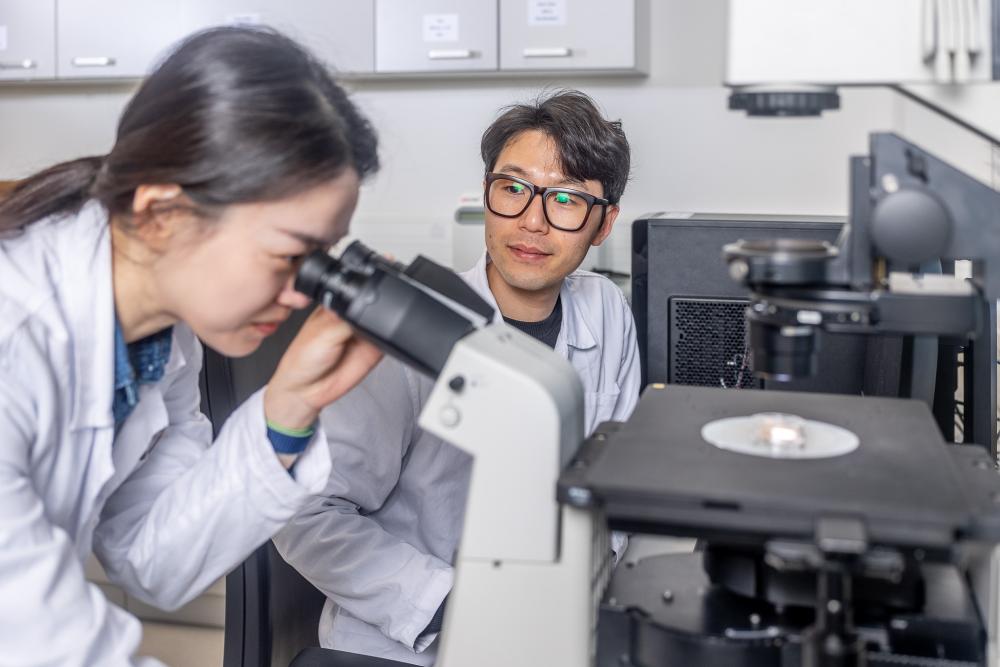  New laboratories push the development of nanorobots. They will help in healthcare and energy