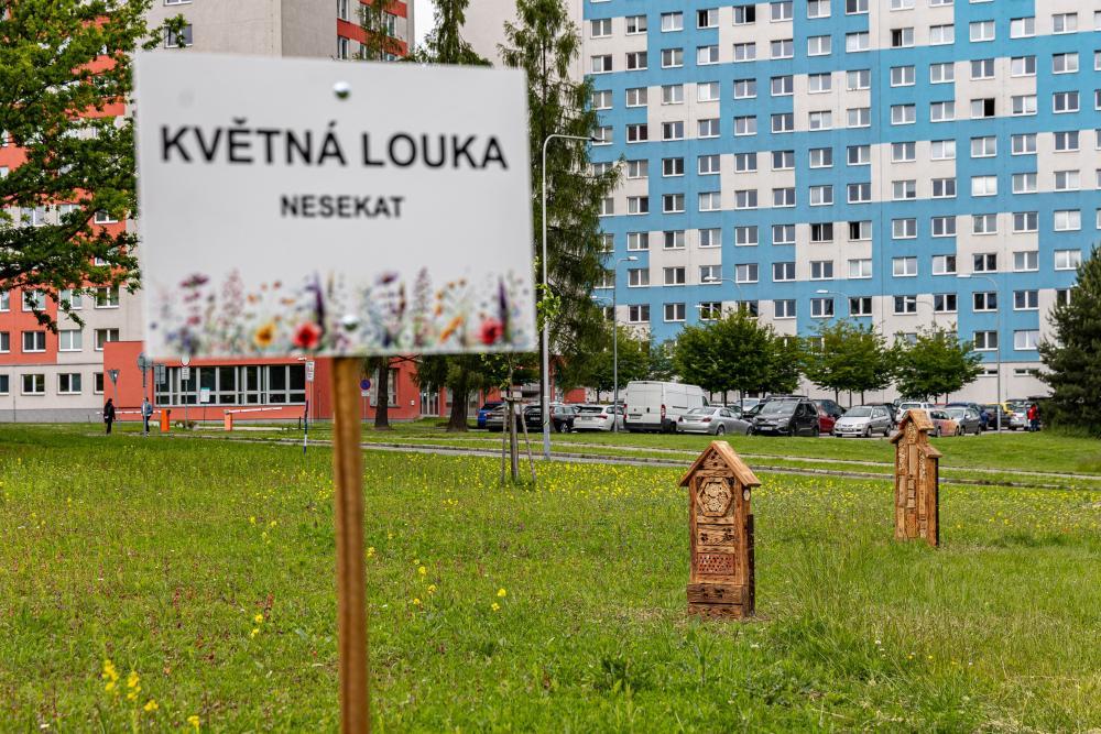 Nové útočiště pro hmyz: kampus ožil hmyzími hotely z dílen studentů i dětí