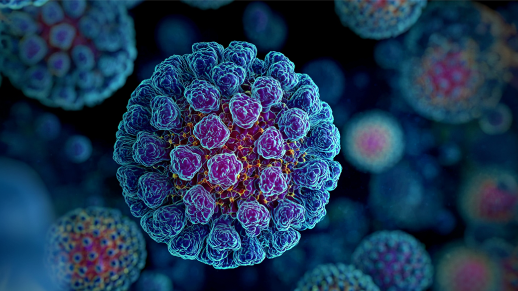 Czech researchers help uncover how norovirus spreads