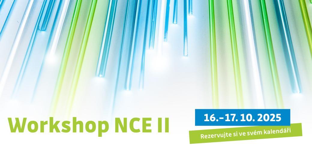 Workshop Národního centra pro energetiku II