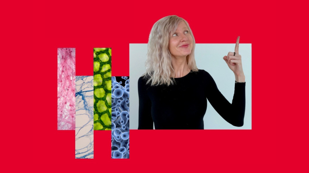 Designerem zdravotnictví na zkoušku