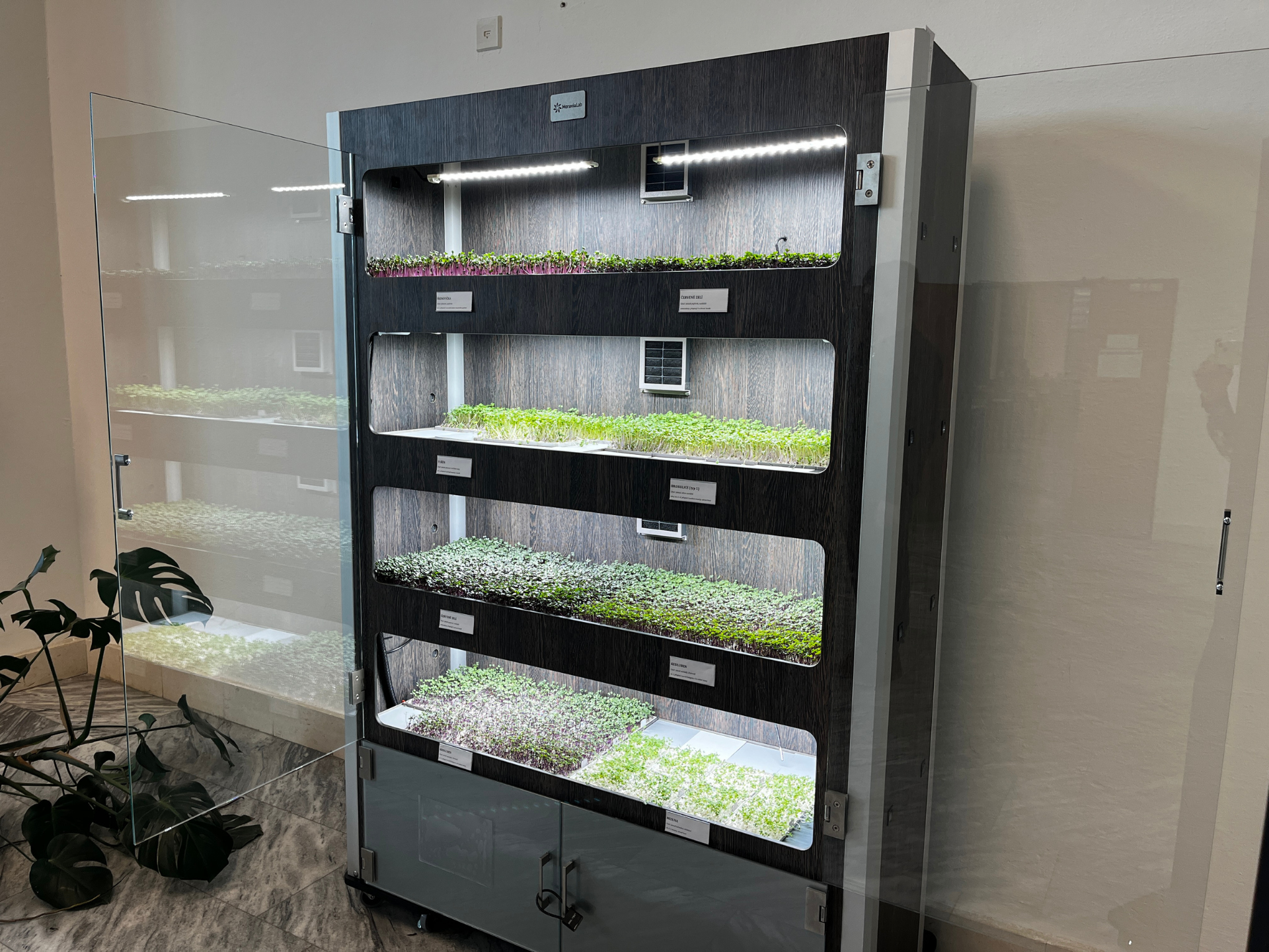 Moderní technologie mění způsob pěstování potravin: VŠB-TUO a MoraviaLab společně rozjely inovativní systém pro pěstování microgreens 