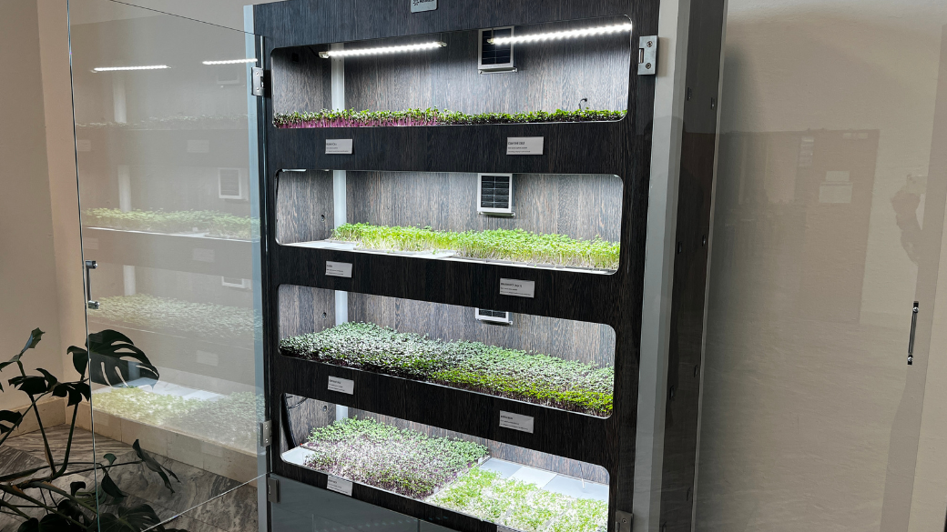 Moderní technologie mění způsob pěstování potravin: VŠB-TUO a MoraviaLab společně rozjely inovativní systém pro pěstování microgreens 