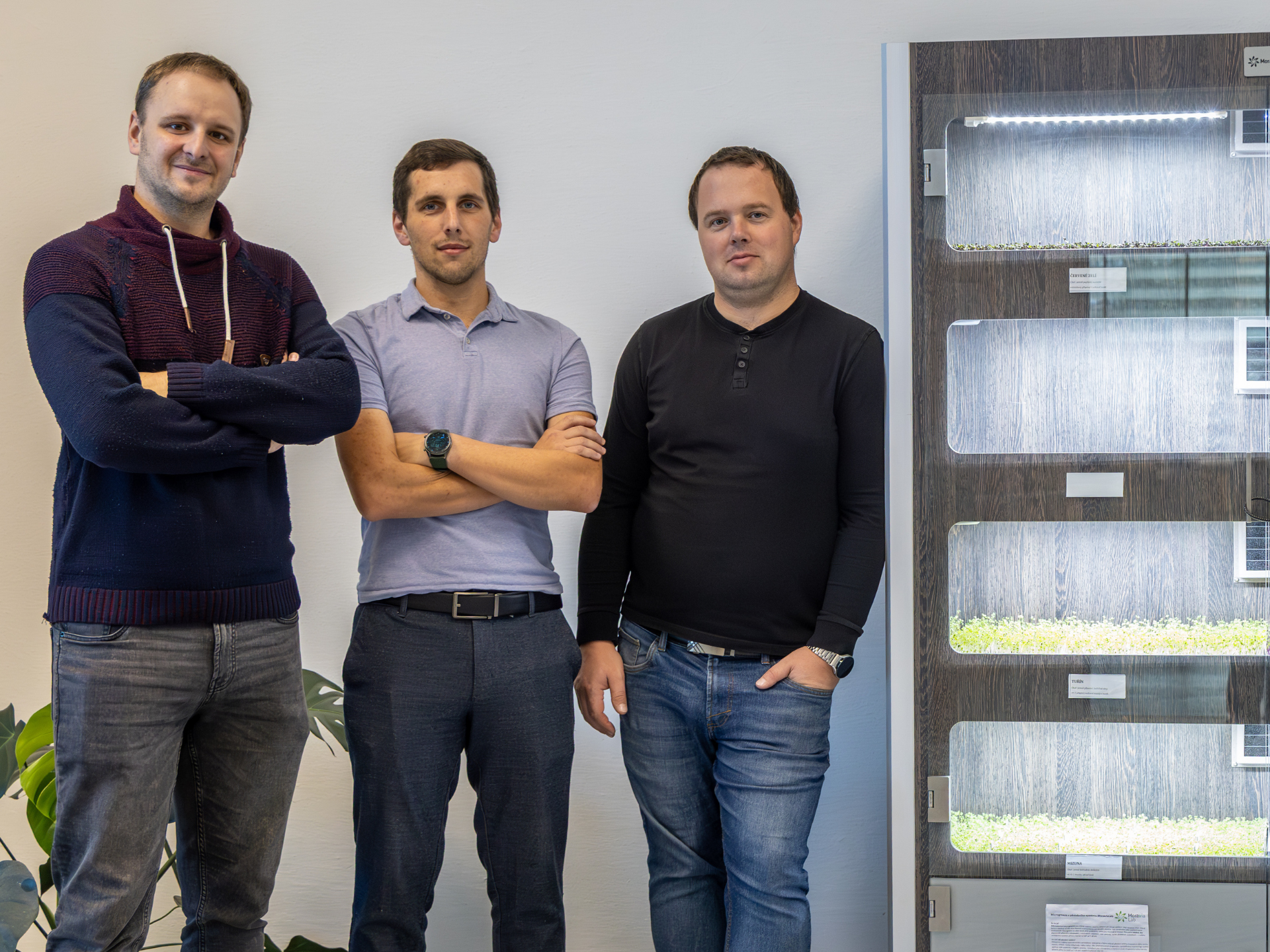 Microgreens v Menze: technologie, design a udržitelnost na talíři 