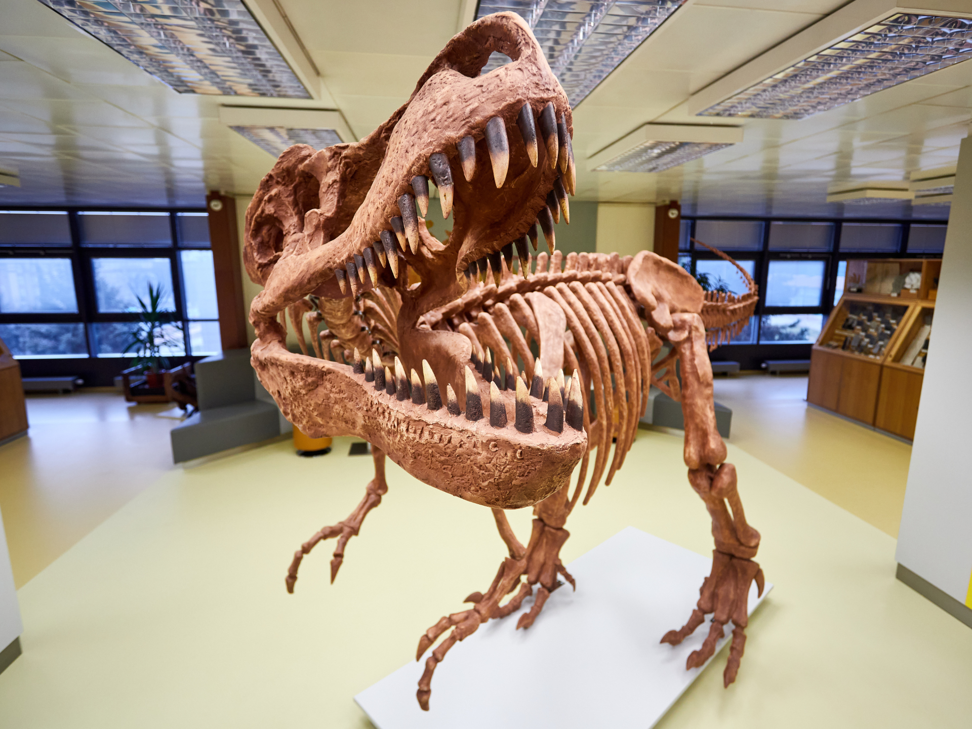 Poznejte science-learningová centra VŠB-TUO: Planetárium a Geologický pavilon