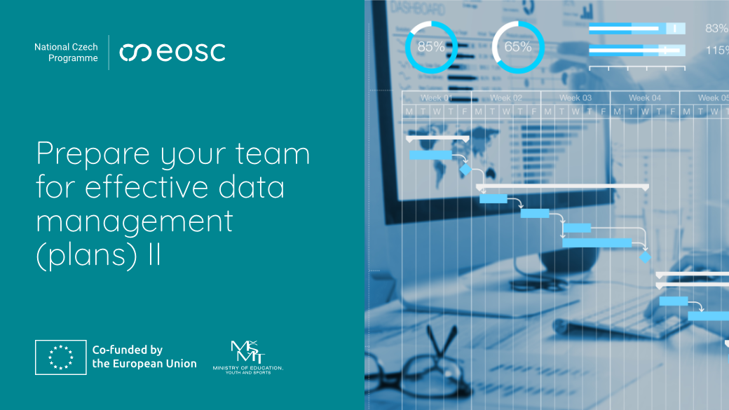 Prepare your team for effective data management (plans) II