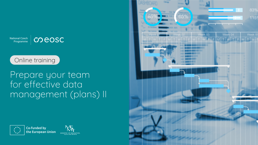 Prepare your team for effective data management (plans) II