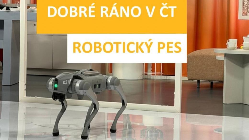 Robotický pes v přímém přenosu