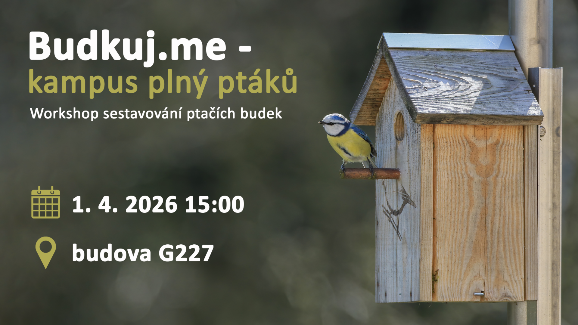 Budkuj.me – kampus plný ptáků