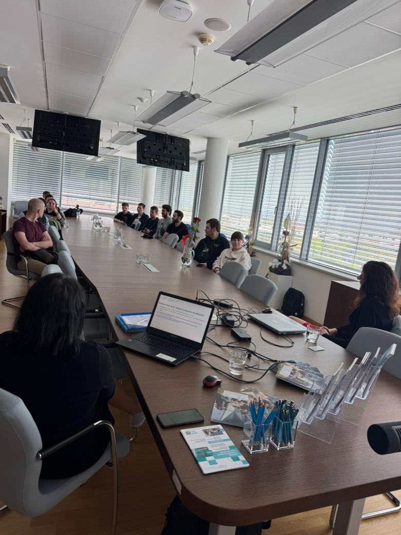 Doctoral studies at FEI