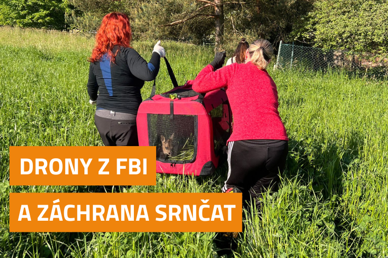 Dronová letka FBI pomáhá zachraňovat srnčata před senosečí