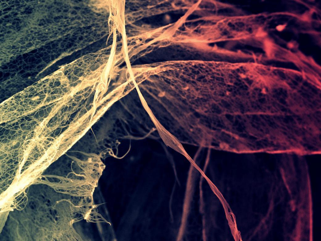 New Energy Solutions for Industry Scientific Insights, Technological Innnovation and the Future of Industrial Energy