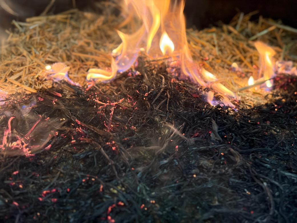 Jiskra, nedopalek nebo horký výfuk. Vědci ukazují, jak snadno vzniká letní požár 
