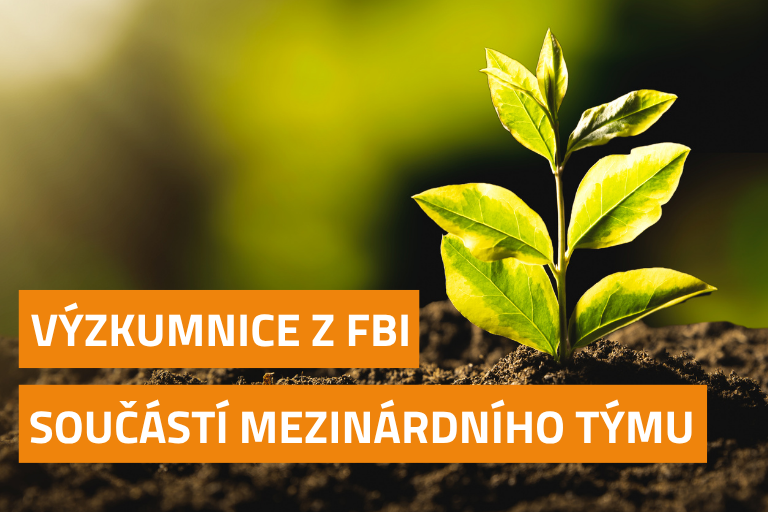Mezinárodní výzkum upozorňuje na přetrvávající znečištění Evropy zpomalovači hoření